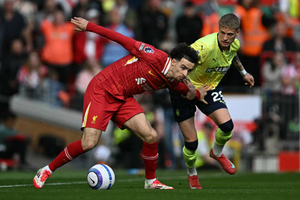 此次夺冠的 此次夺冠的